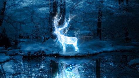 Take Pottermore’s new Patronus quiz to find out if you’re ...