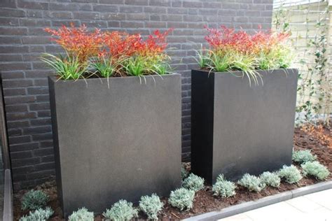 Tall narrow planters | Garden design: planters & window ...
