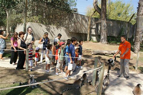 Talleres y actividades con niños en el Zoo de Madrid