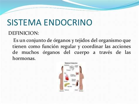 Tarea5 sistema endocrino