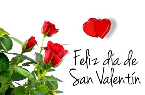 Tarjetas de Rosas para San Valentín   14 de febrero