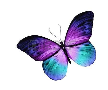 Tattoo auf Pinterest | Schmetterling tattoo bedeutung ...