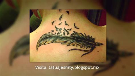 Tatuajes de Plumas Diseños y Fotos   YouTube