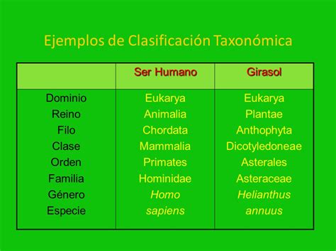 Taxonomía y nombres científicos de los seres vivos.   ppt ...