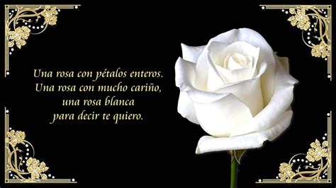 Te Regalo Una Rosa Blanca   YouTube