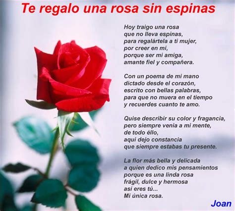 Te regalo una rosa sin espinas   Poemas de amor