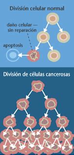 Tecnología usada para curar Cáncer