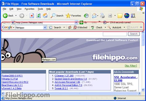 Télécharger Google Toolbar 7.5.4209.2358  IE    FileHippo.com