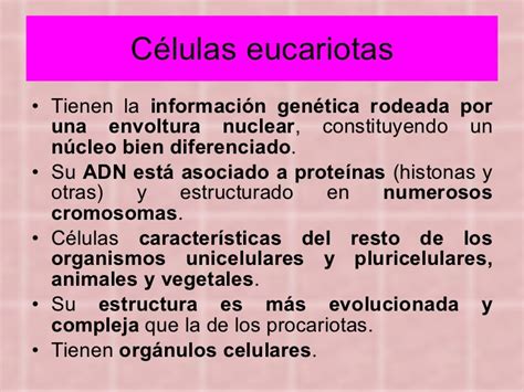 Tema 3 células procariotas y eucariotas