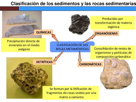 Tema 7 sedimentación y rocas sedimentarias