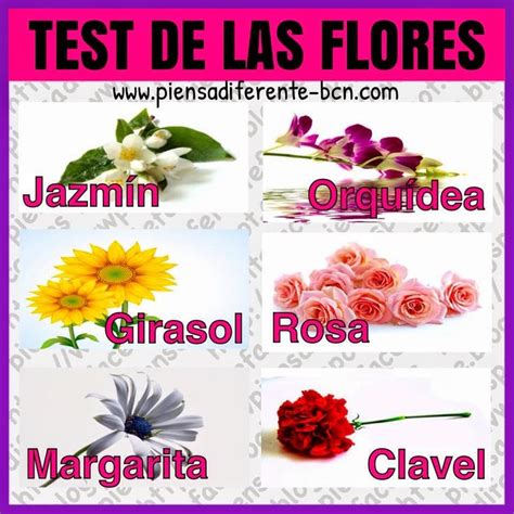 TEST DE LAS FLORES ¿Sabías que tu flor favorita refleja ...