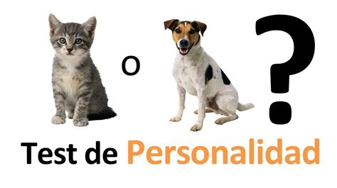 TEST de PERSONALIDAD: ¿Gato o Perro?   YouTube
