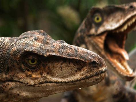 TEST Jurassic World: ¿Qué tipo de dinosaurio eres?