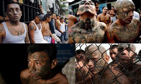 Texas DPS lists MS 13, targeted by Trump, among greatest ...