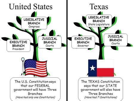 Texas Government ppt video online download