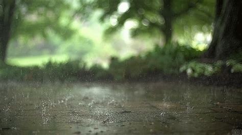 The 20 most beautiful animated rain gifs   GIF ...