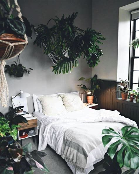The 25+ best Bedroom plants ideas on Pinterest | Bedroom ...