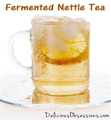 The 25+ best Fermented tea ideas on Pinterest | Kombucha ...