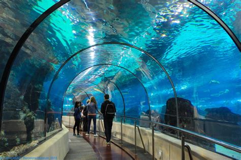 The Aquarium of Barcelona: Tickets and prices 2018 ...