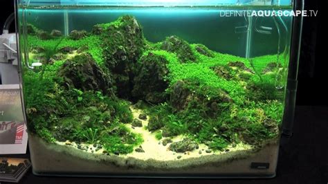 The Art of the Planted Aquarium 2015   Dennerle Scaper s ...