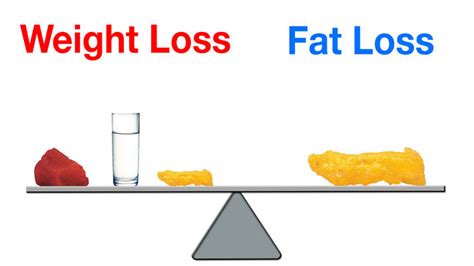 The Basics of Losing Body Fat  by James Barnum