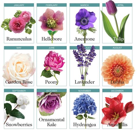 The best bet for flowers in each of the 12 months ...