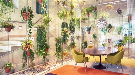 The Best Indoor Plants For Australian Offices | Lifehacker ...