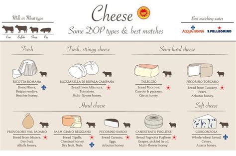 The best Italilan cheeses for you in an infographicItalian ...