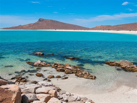 The Best of Baja California Sur: Los Cabos and Beyond ...
