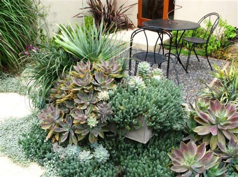 The Best Outdoor Plants For Shaded Areas