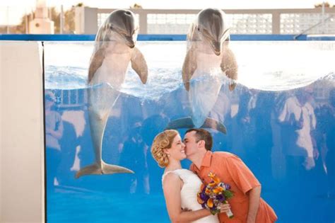 The Best Wedding Photobombs Ever  38 pics    Izismile.com