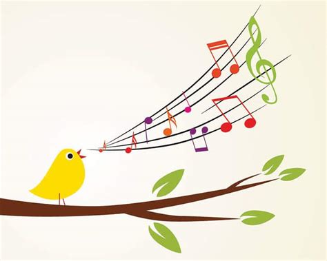 THE BIRD S SONG: Learn from birds how to live in the now ...