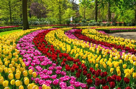 The Canadian Tulip Festival – CultureMagazin.com