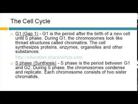The Cell Cycle G1, S Phase, G2, M Phase | Cell Division ...