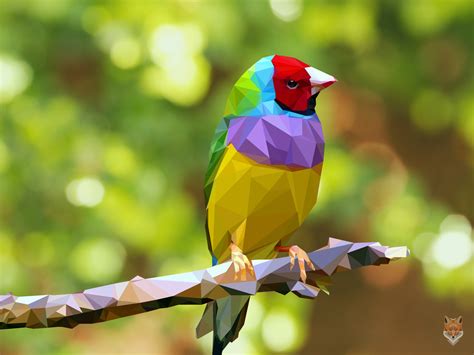The colorful bird / vector / diego campos by diego1a on ...