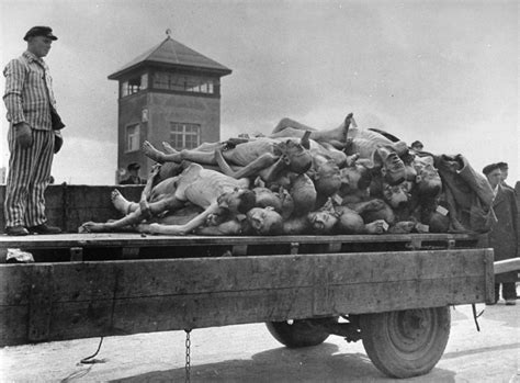 The dead at Dachau, 1945. Photo: David E. Scherman The ...