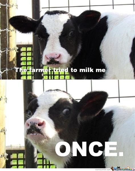 The farmer tried to milk me once.. by serkan   Meme Center