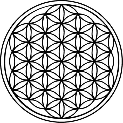 The Flower Of Life   The Open Mind