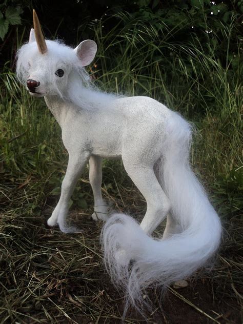The gallery for   > Real Baby Unicorns