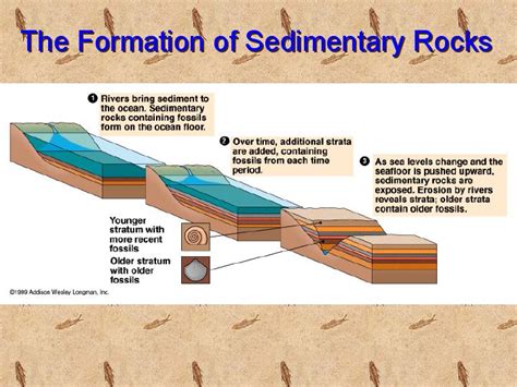 The gallery for   > Sedimentary Rocks Formation Process