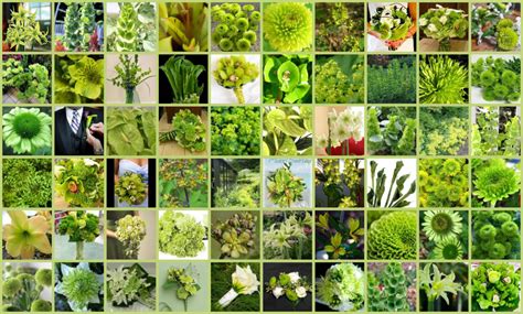 The gallery for   > Types Of Flowers Names