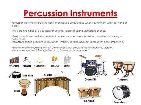 The gallery for   > Types Of Percussion Instruments