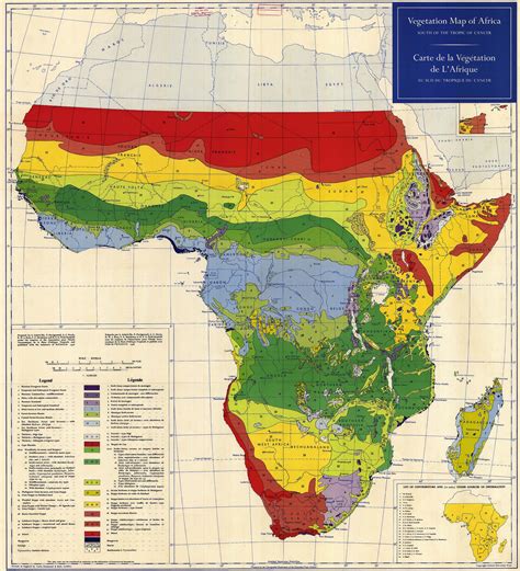 The gallery for   > Vegetation Map Of Africa