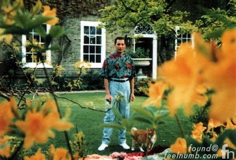 The Last Photos of Freddie Mercury Alive | FeelNumb.com