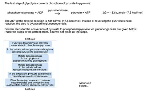 The Last Step Of Glycolysis Converts Phosphoenolpy ...