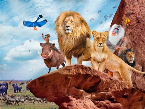 The Lion King Live Action Release Date   Best Image Konpax ...