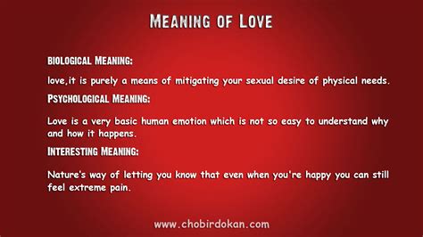 The Meaning of Love : Some Interesting and Informative ...