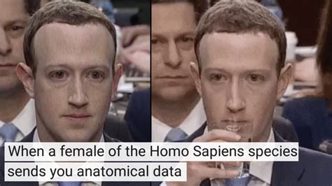 The Memes About Mark Zuckerberg s Congressional Hearing ...