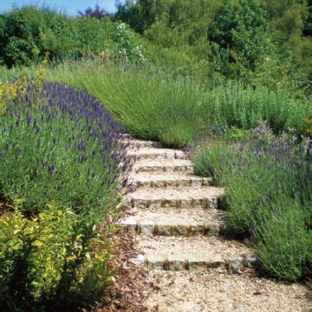 The Oak Studio Garden design | Gallery | Rustic steps with ...