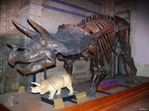 The Pan American Expo Triceratops Lives On UPDATE: Or does ...